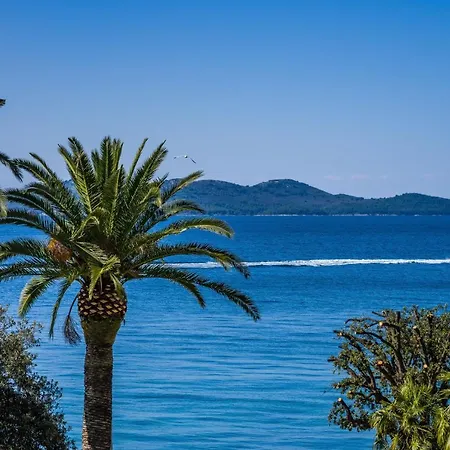 Apartment Cvijeta -zadar Old Town - With Seaview *